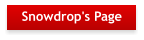 Snowdrop's Page