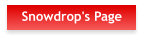 Snowdrop's Page